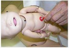 2026解析美国试管全部费用及其构成因素